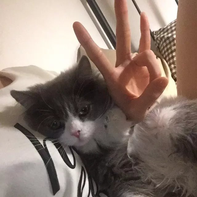 左欣琬琛