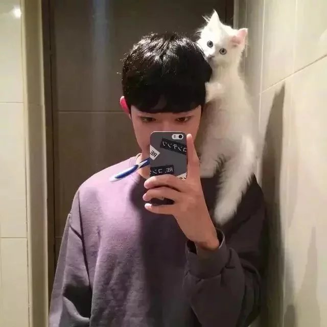 宗莺春宝