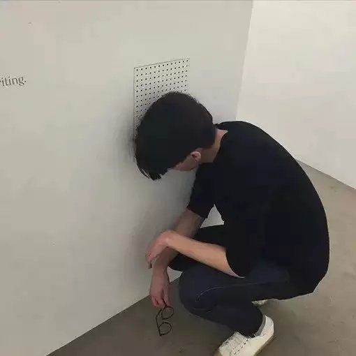 仲姬树哲