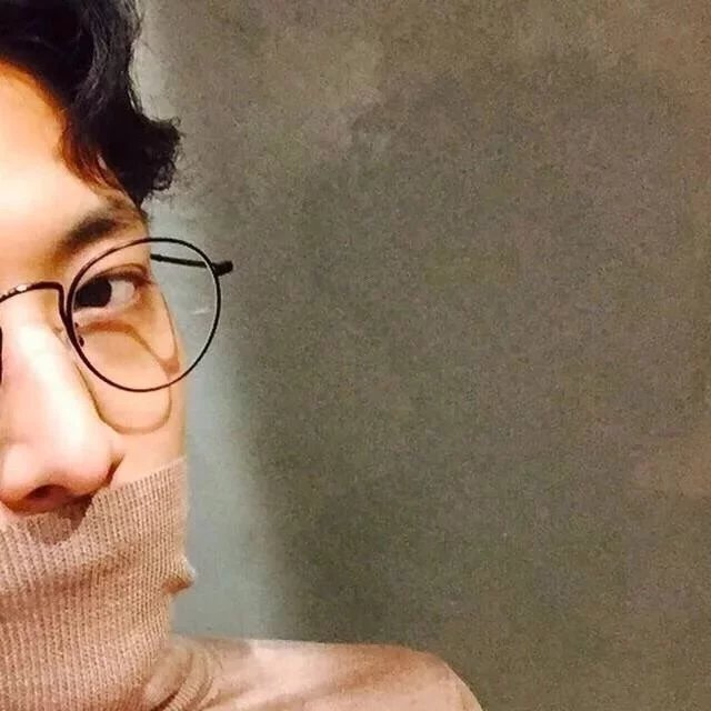詹芳河凤